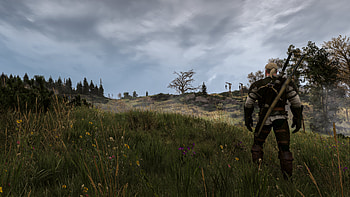 The Witcher 3, The Witcher, The Witcher 3: Wild Hunt HD wallpaper