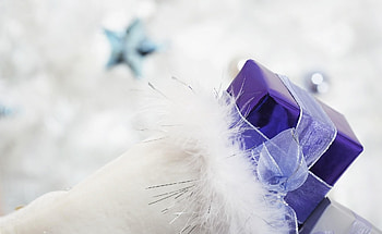 Holidays, Holiday, Present, Bow, Gift, Fluff, Fuzz HD wallpaper
