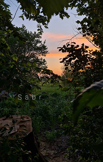 Sabr, cloud, sky HD phone wallpaper