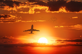 Birds, Sunset, Sky, Sun, Miscellanea, Miscellaneous, Flight, Airplane, Plane HD wallpaper