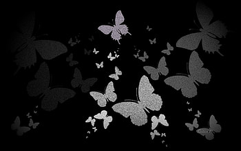 Butterflies, blue, white, by cehenot, black, butterfly, silver HD wallpaper