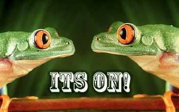 Frogs, animals HD wallpaper