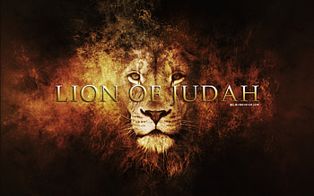 Lion of Judah HD wallpaper
