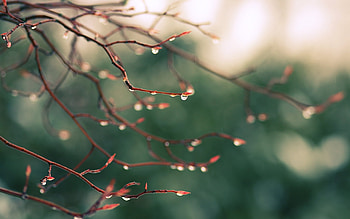 Background, Drops HD wallpaper