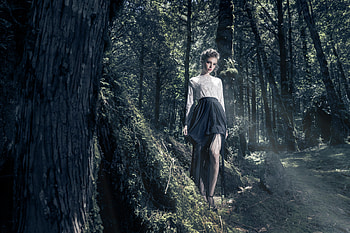 Women, Model, Blonde, Forest, Skirt, Sunbeam HD wallpaper