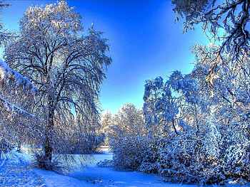 cute winter landscape, landscape, winter, cute, sky HD wallpaper
