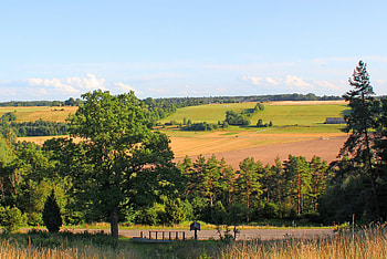 Latvian landscape, landscapes, fields, summer, nature HD wallpaper