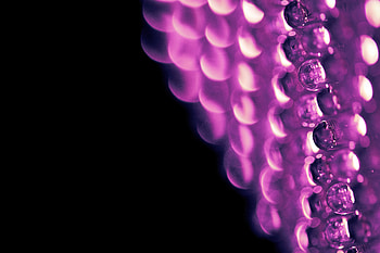 Lilac, Drops, Macro, Convex, Convexity HD wallpaper