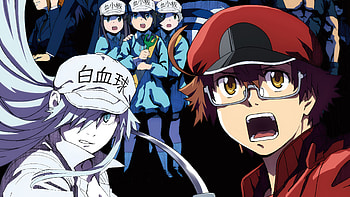Cells at Work! Code Black, Anime poster, , Mocah HD wallpaper