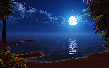 Moonlight and Fantasy HD wallpaper