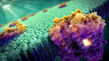 See the Light: Scientific Illustration - Medical & Scientific Video Animation & Illustration by John Liebler HD wallpaper