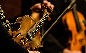 Viola music, String instruments, Top backgrounds, Musical harmony HD wallpaper