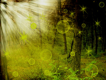 Landscape HD wallpaper