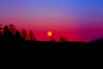 Yellow moon, night, sky, moon, dusk HD wallpaper