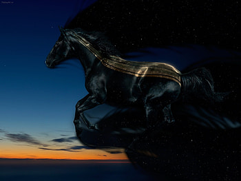 Animals, Art, Horses HD wallpaper