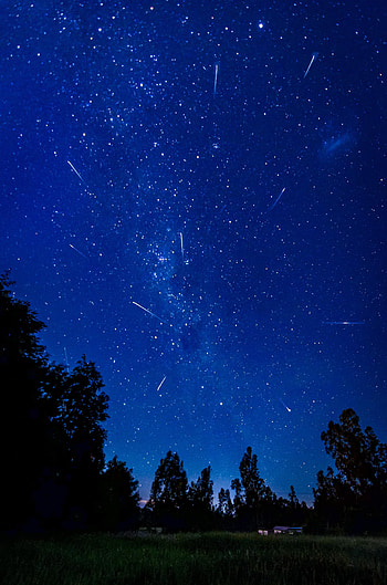 Nature, Trees, Night, Starry Sky, Comet, Comets HD phone wallpaper