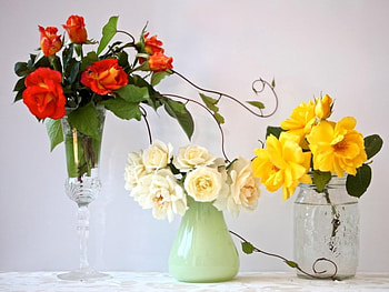 lovely vases of roses, vses, still life, roses, flowers, lovely HD wallpaper