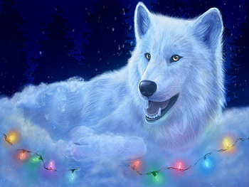 Happy Holidays, blue, holiday, wolf, lights HD wallpaper