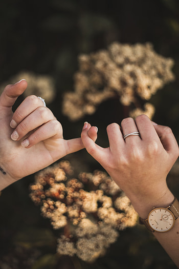 Gestures, Miscellanea, Miscellaneous, Hands, Fingers, Touching, Touch HD phone wallpaper