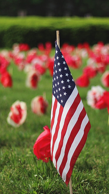 Memorial Day, Flags In Garden, Grass Background HD phone wallpaper