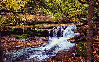 New River Gorge, West Virginia, leaves, fall, autumn, colors, trees, cascade, rocks, usa HD wallpaper