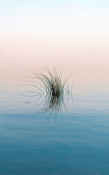Nature, Water, Rivers, Grass, Reflection, Ripples, Ripple HD phone wallpaper