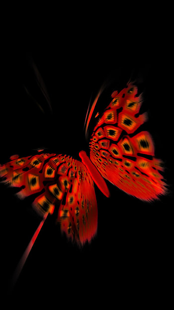Red Butterfly, Adorable Background HD phone wallpaper