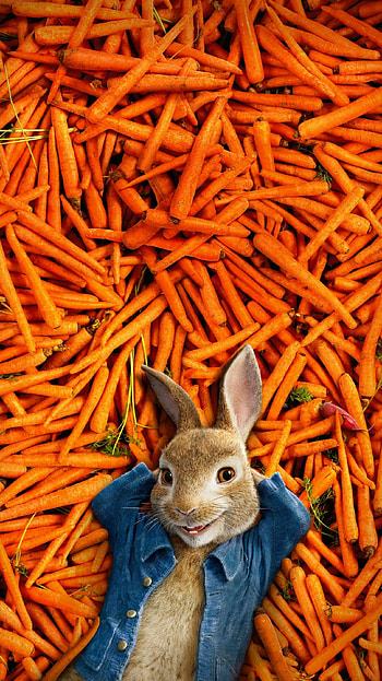 Peter Rabbit 2018, Movie HD phone wallpaper