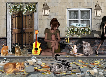 Music on the Street, street, cats, guitar, music HD wallpaper