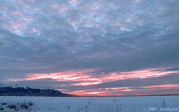 Gold sky, goldsky HD wallpaper