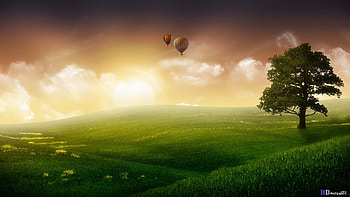 Full size abstract nature for HD wallpaper
