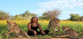 africa cats, africa, naankuse, marlice, cats, cheetahs HD wallpaper