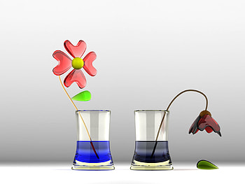 Plants, Flowers, Art HD wallpaper