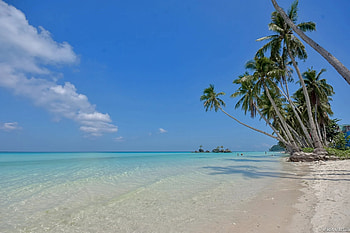 Aklan execs, Government priority, Vaccine drive, Tourism revival HD wallpaper