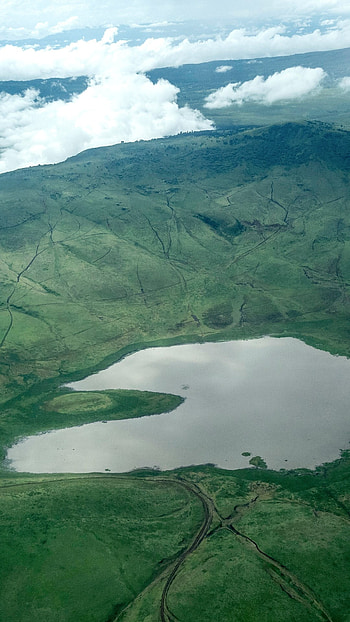 Aerial view, Ngorongoro Crater, Ngorongoro Conservation Area, Tanzania HD phone wallpaper