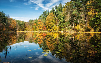 Nature, Rivers, Trees, Autumn, Summer HD wallpaper
