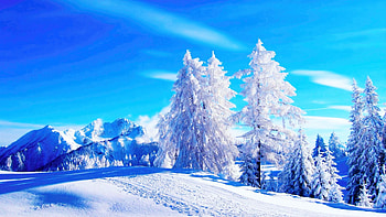 Country Road In Winter, landscape, trees, forest, snow, sky HD wallpaper