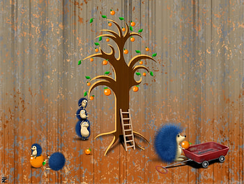 Funny, Hedgehogs HD wallpaper