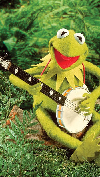 Kermit the Frog, Banjo HD phone wallpaper