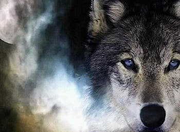 Beauty Beyond the Mist, abstract, moon, fantasy, animals, other, dogs, wolf HD wallpaper
