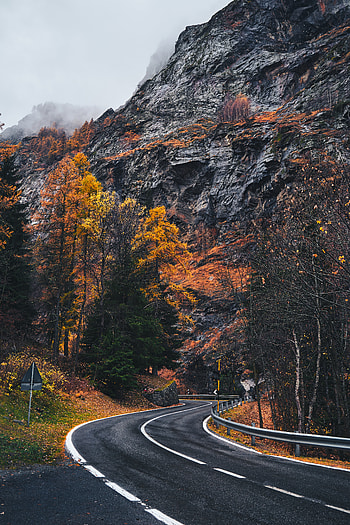 Nature, Rocks, Road, Markup, Fog, Winding, Sinuous HD phone wallpaper