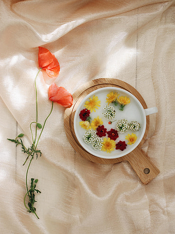 Cloth, Flowers, Plate, Dandelion HD phone wallpaper