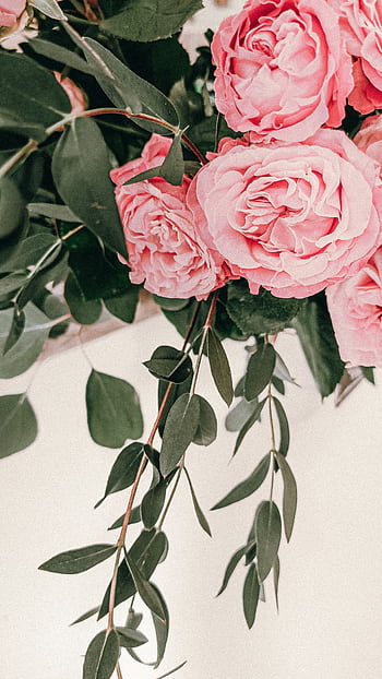 A delicate arrangement of pink roses with lush green leaves, perfect for spring decor. HD phone wallpaper