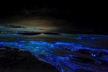 Sea, Waves, Dark, Starry Sky, hop, Effect HD wallpaper