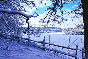 Winter, Nature, Snow, Branches, Fence, Winter Landscape HD wallpaper