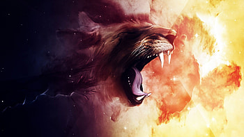 in P are also known as full its just amazing HD wallpaper