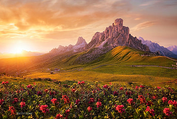 Mountain, nature, rocks, flower HD wallpaper