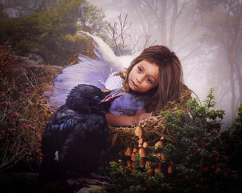little fairy, fairies, fantasy, abstract, elf HD wallpaper