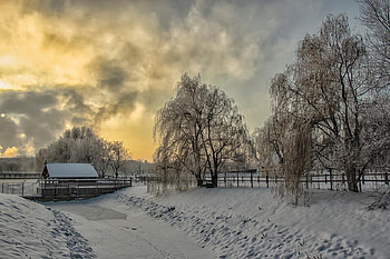 winter scene, winter, nature, , snow HD wallpaper