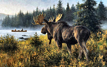I See You! 2, canoe, art, lake, artwork, scenery, wide screen, wildlife, painting, moose, water HD wallpaper